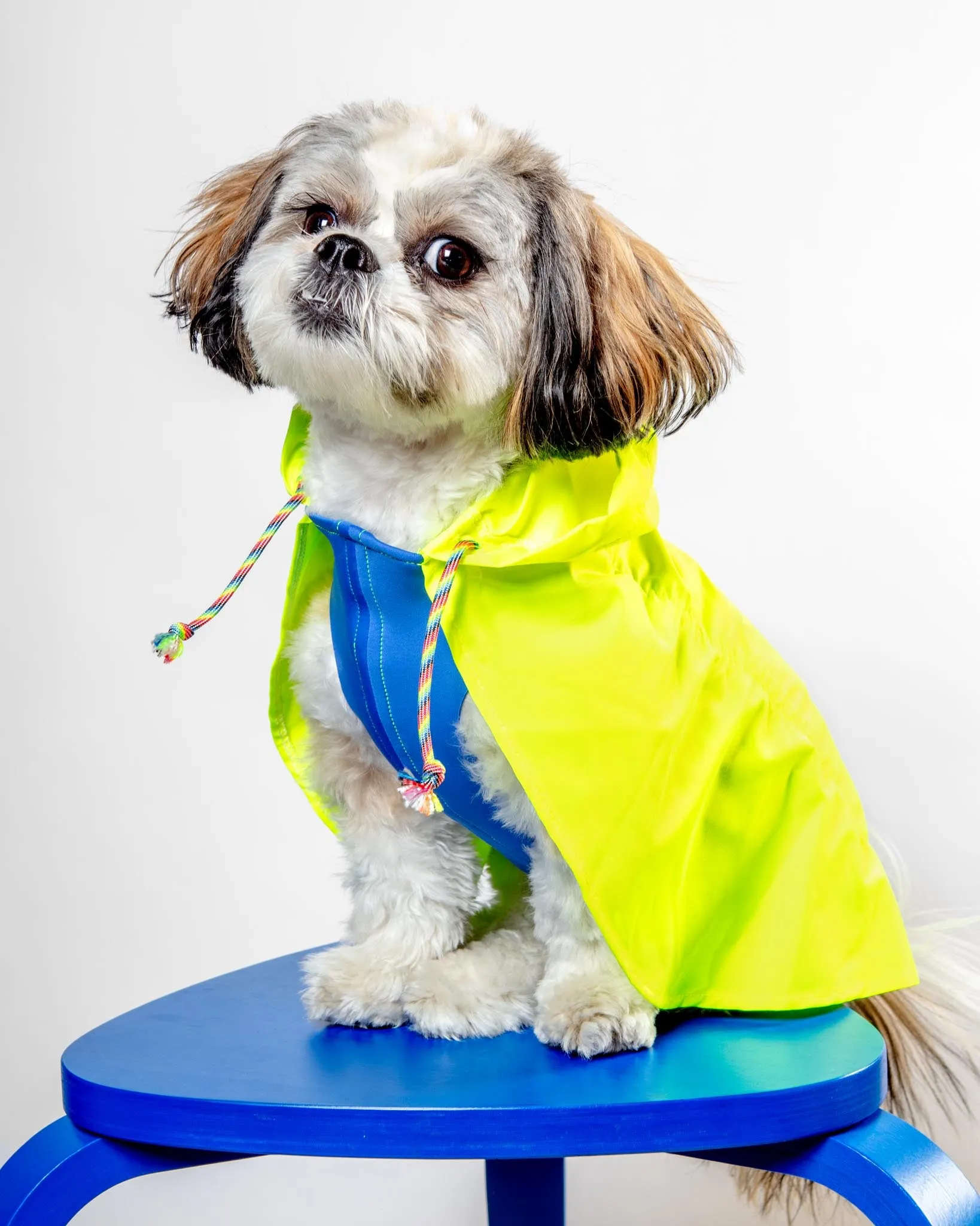 Action Jacket Pull-On Raincoat in Safety Yellow   Blue (Made in NYC)