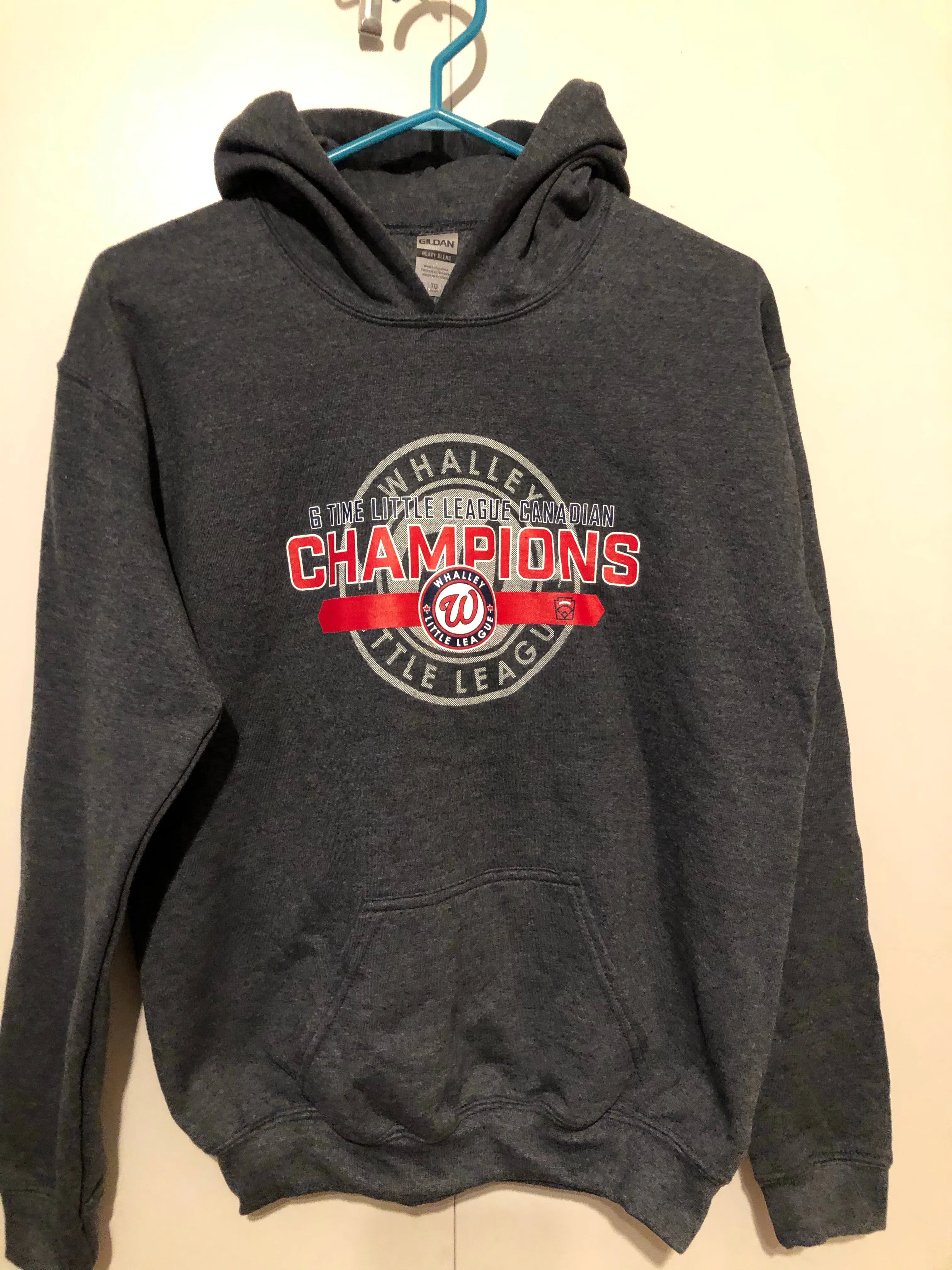 Adult Grey Cotton Hoodie