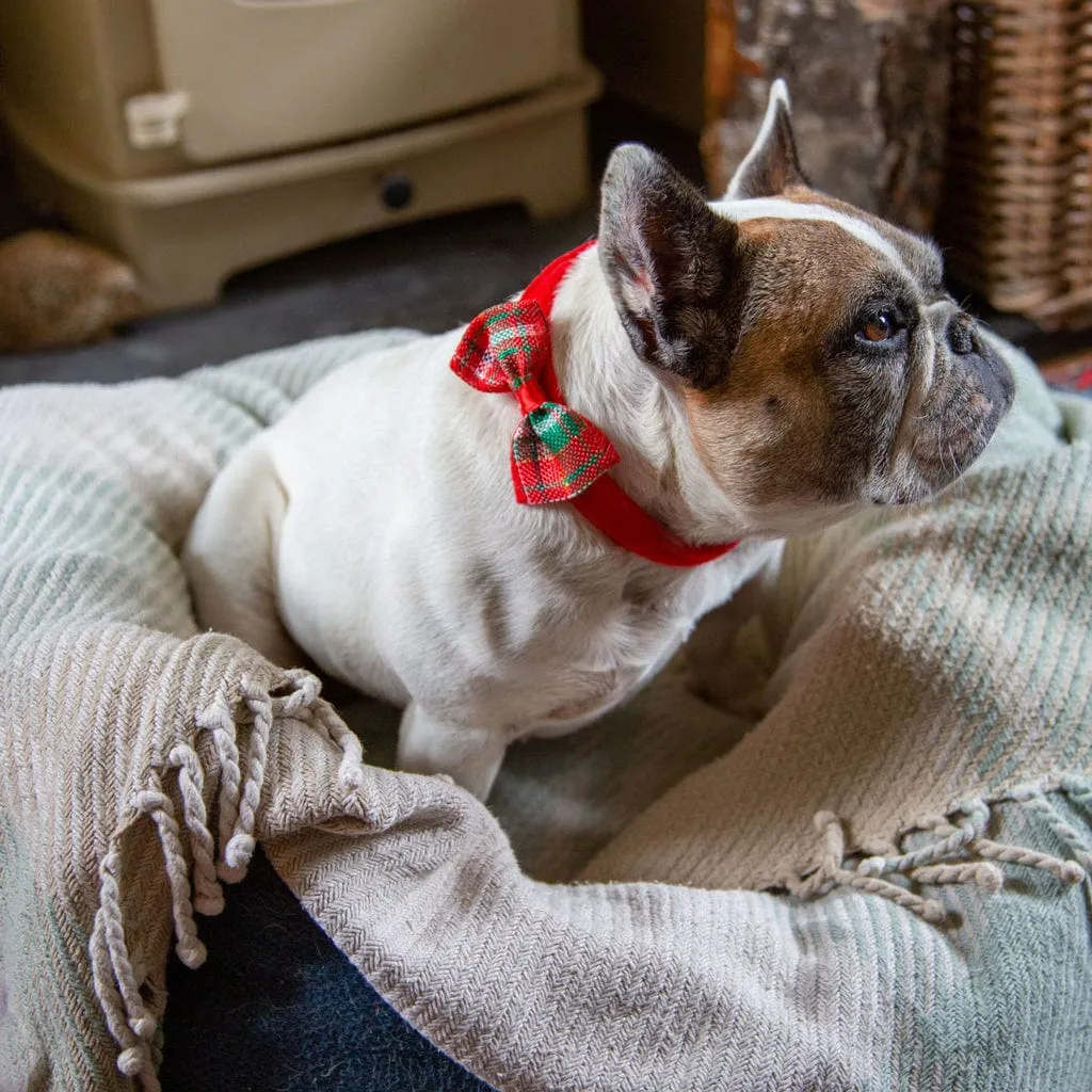 Dog Tartan Bow Tie