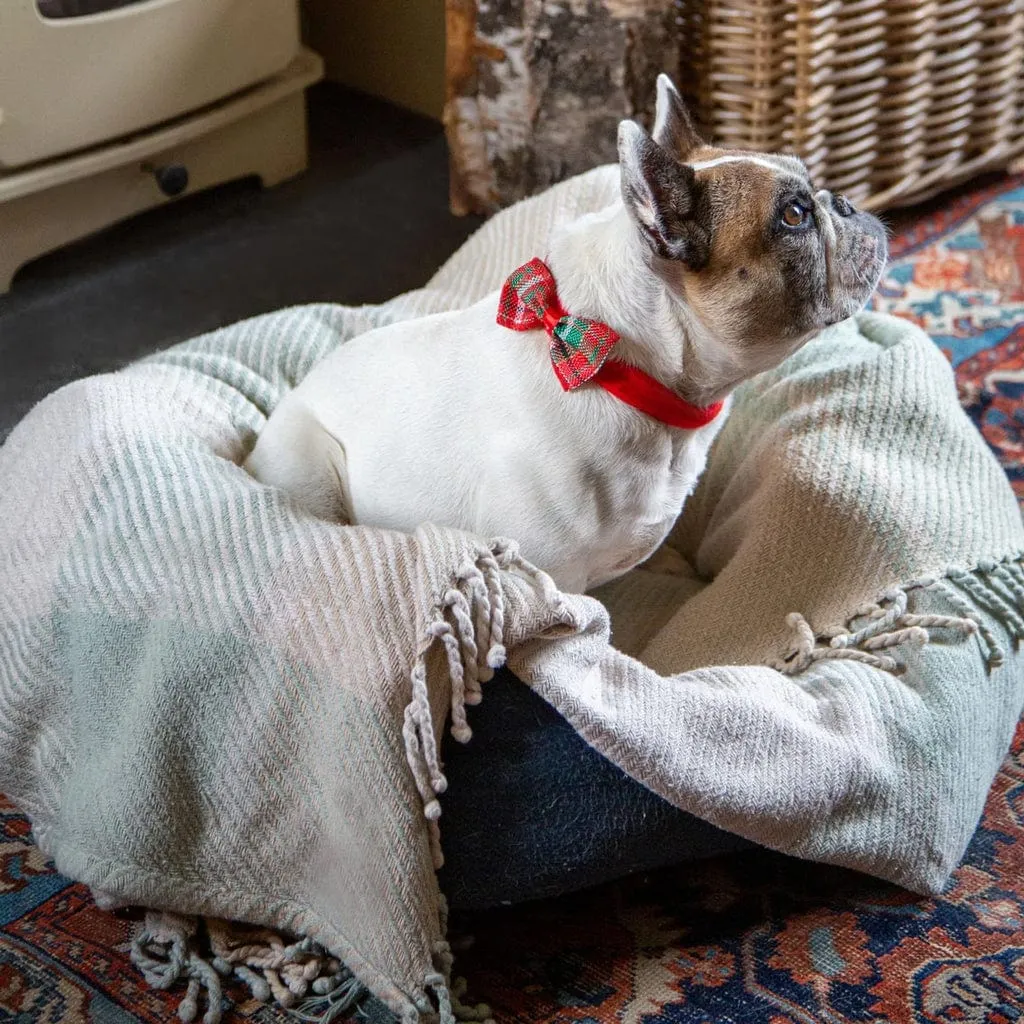 Dog Tartan Bow Tie