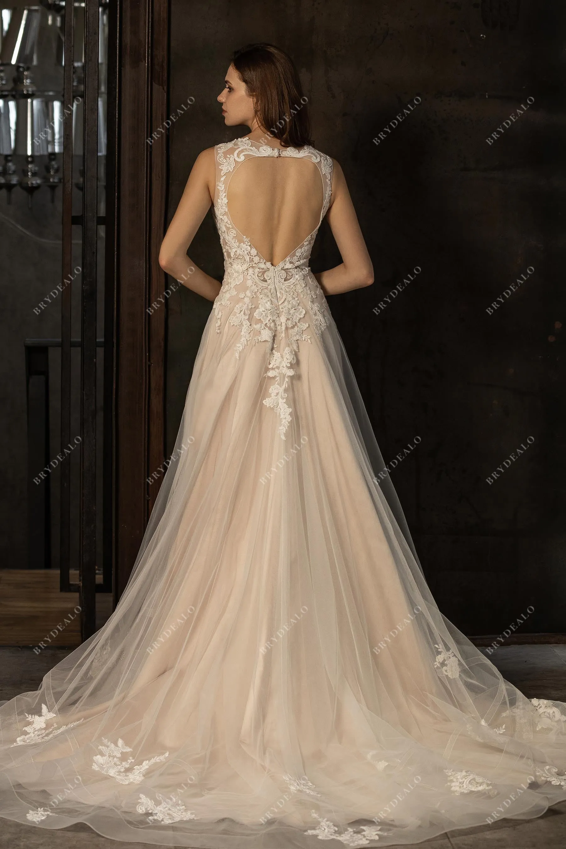 Graceful Lace V-neck Open Back Sleeveless Nude Wedding Dress