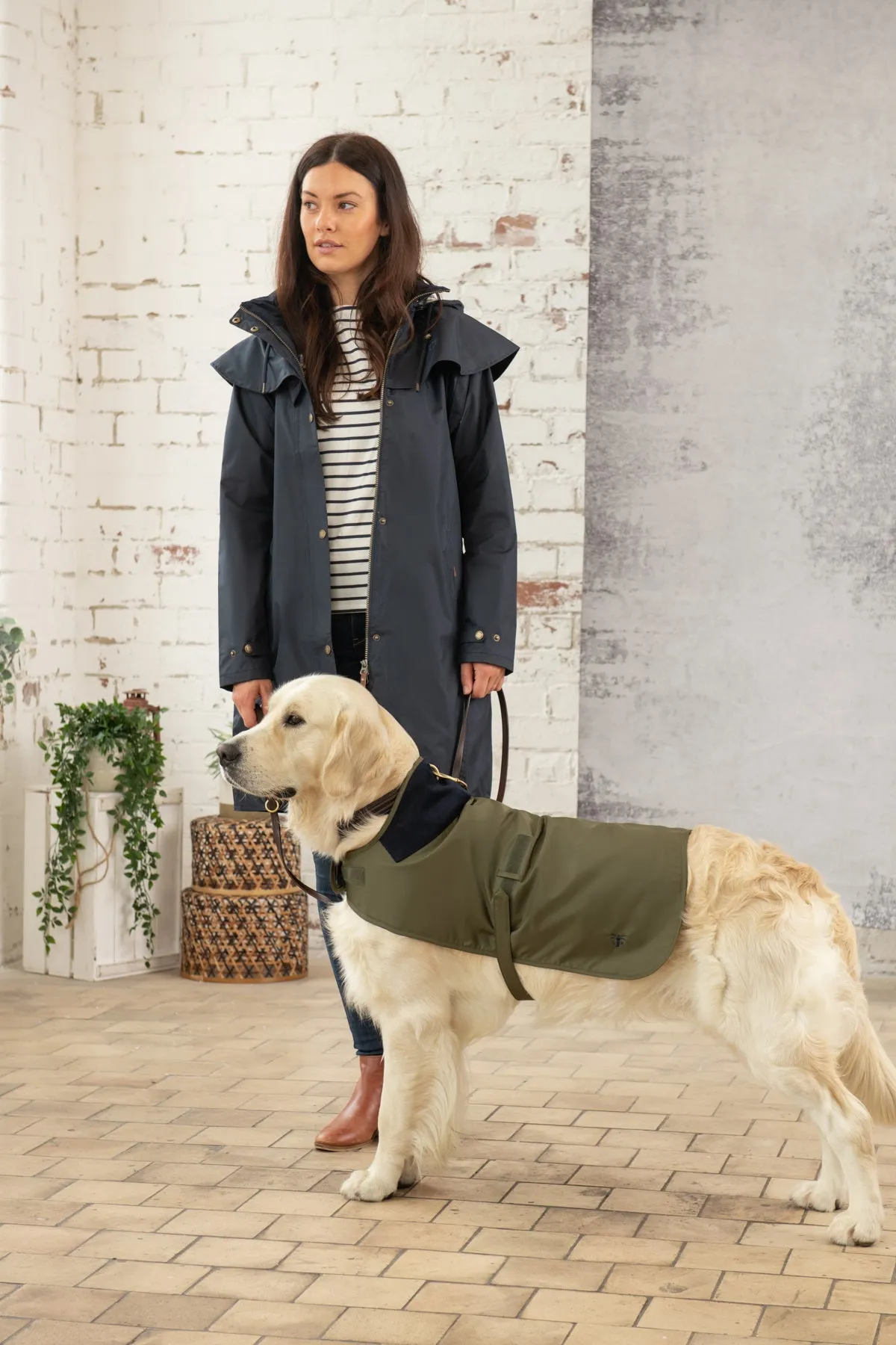 Heritage Dog Coat - Fern