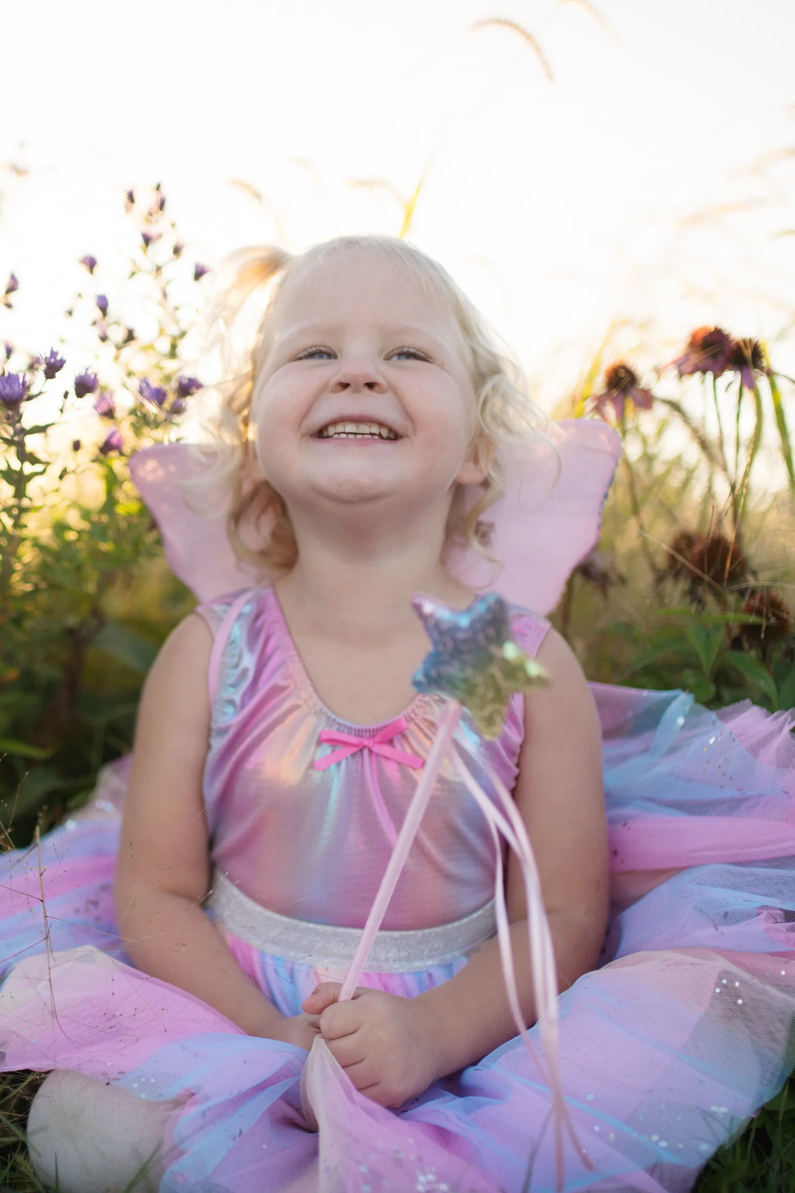 Rainbow Sequins Skirt, Wings & Wand