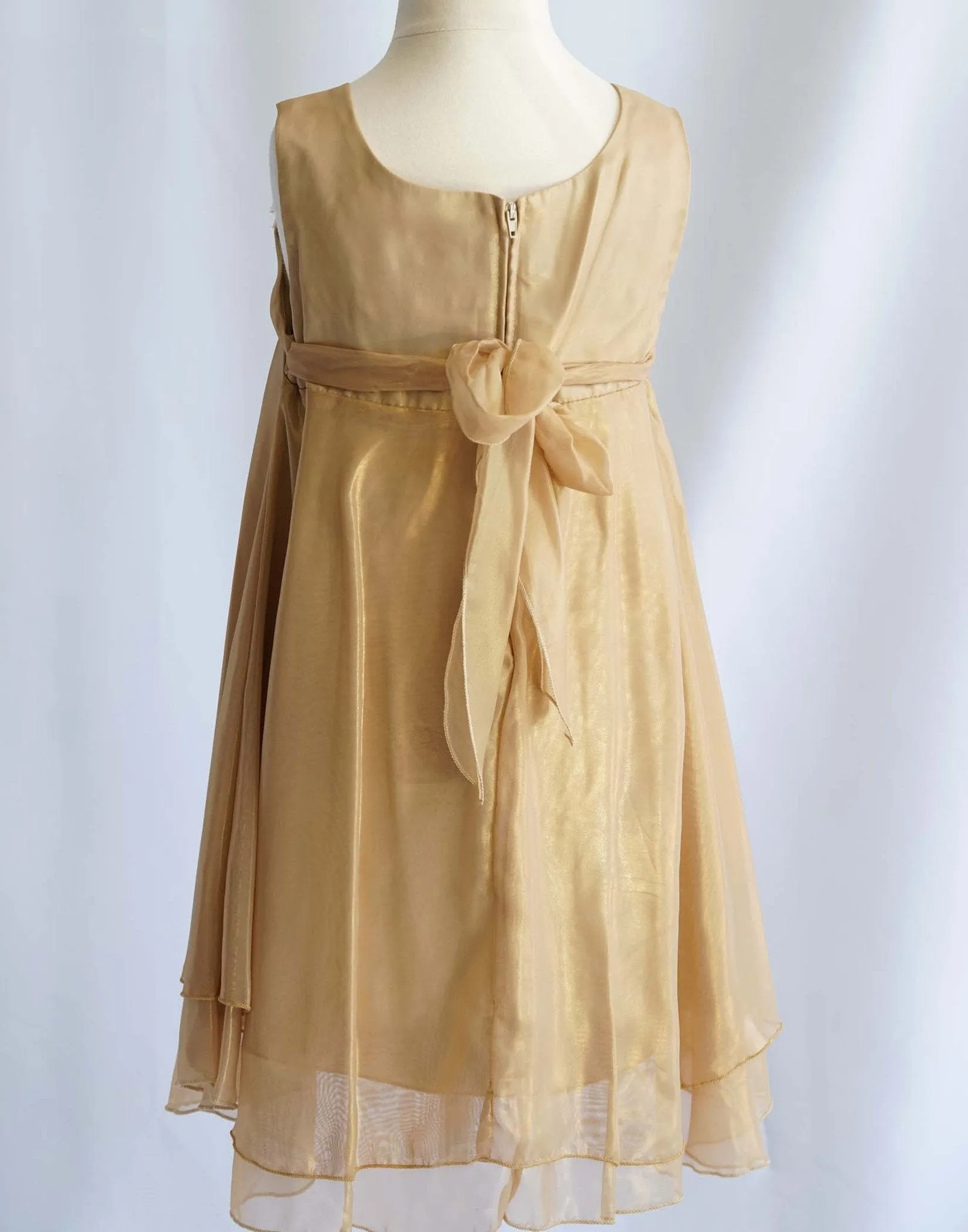 Shimmery Chiffon Dress - Gold