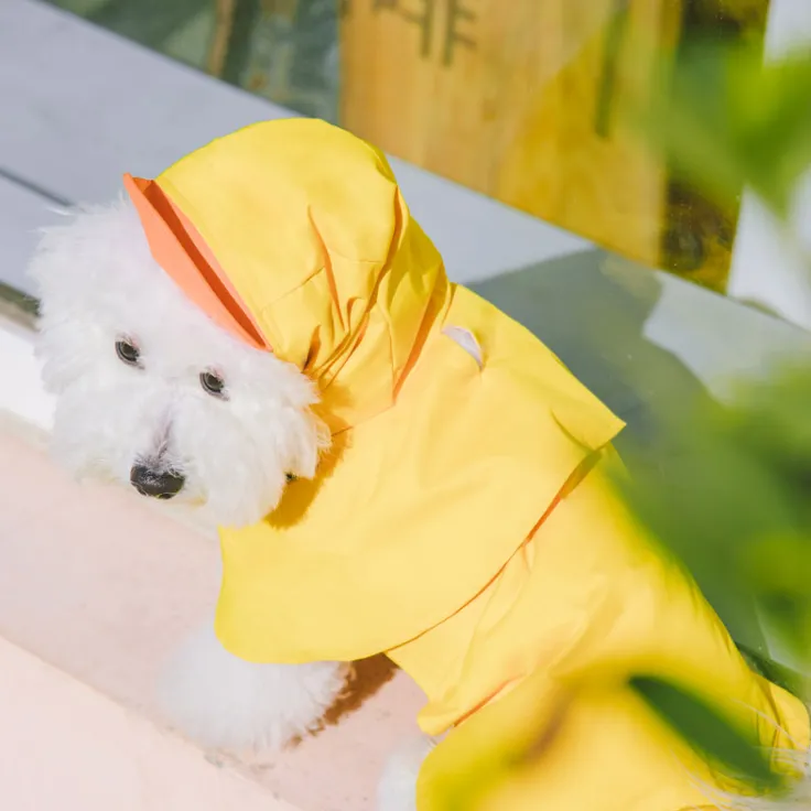 Yellow Cape Raincoat