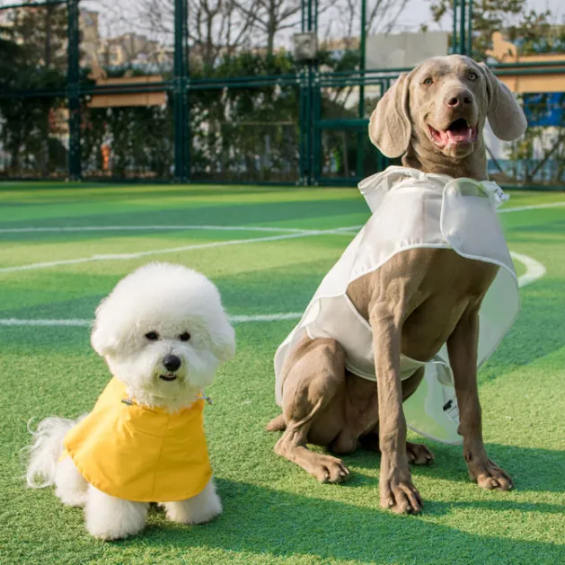 Yellow Cape Raincoat